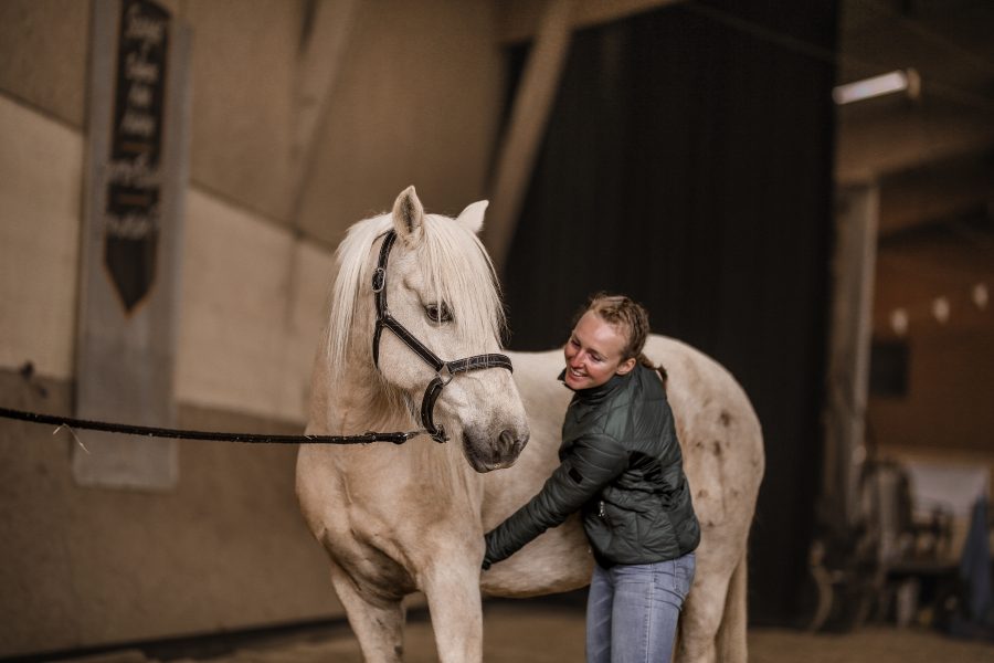 Photo de Coline Gosset faisant de l'ostéopathie à un cheval