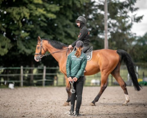 Photo de Coline Gosset donnant des cours à un cavalier et son cheval