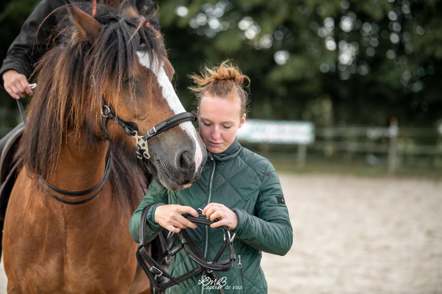 Photo de Coline Gosset faisant du bit-fitting avec un cheval et son cavalier