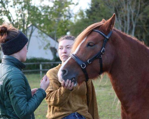 Photo de Coline Gosset avec une femme et un cheval marron