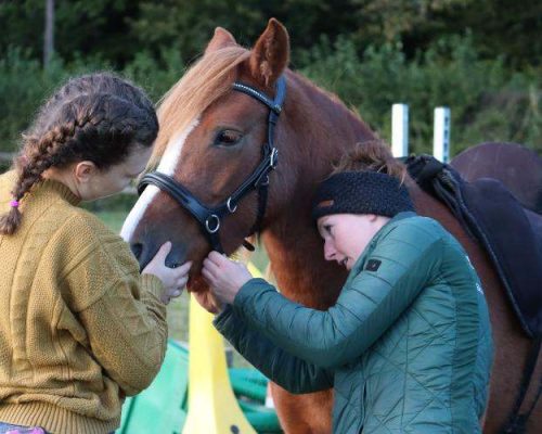 Photo de Coline Gosset avec une femme et un cheval marron