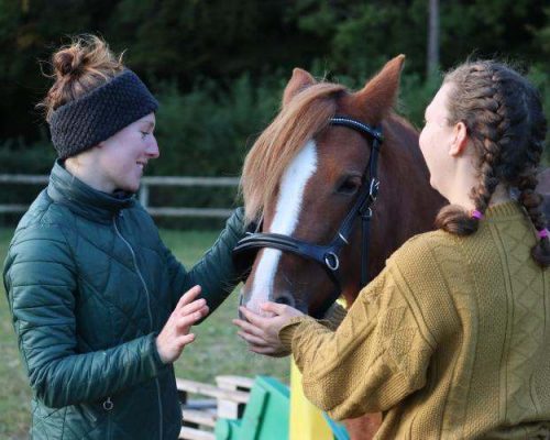 Photo de Coline Gosset avec une femme et un cheval marron