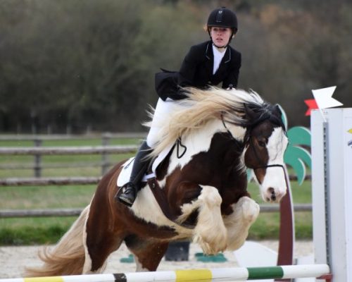 Photo de Coline Gosset sautant un obstacle sur un cheval blanc et marron