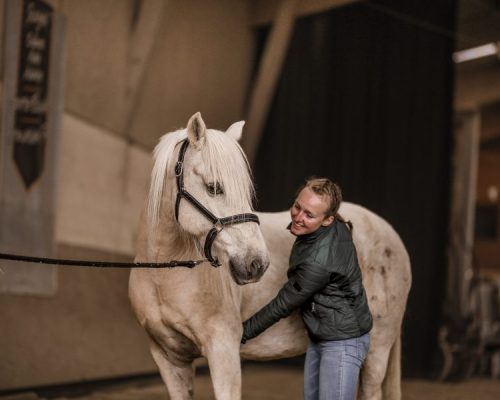 Photo de Coline Gosset faisant de l'ostéopathie à un cheval