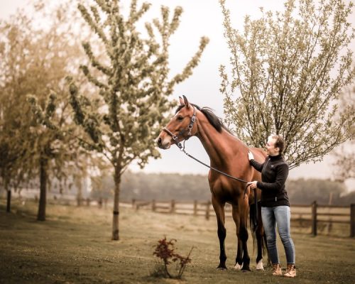 Photo de Coline Gosset avec un cheval