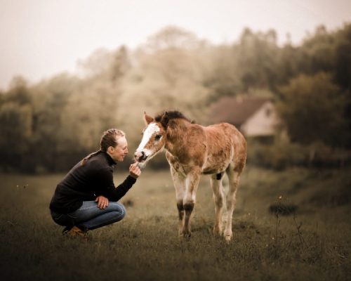 Photo de Coline Gosset avec un poulain