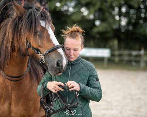 Photo de Coline Gosset faisant du bit-fitting avec un cheval et son cavalier