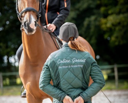 Photo de Coline Gosset donnant des cours d'éducation à un cavalier et son cheval